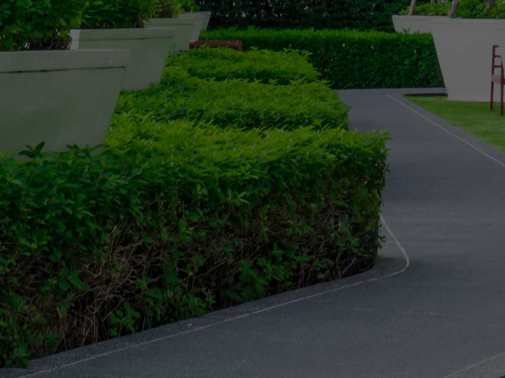 Canyon Commercial Landscaping